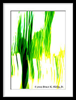 A Splash Of Green #1