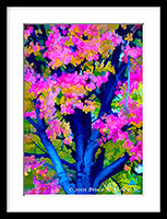 A Tree On Main Street