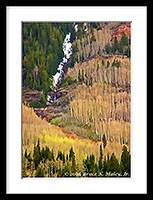 Aspen Spring #2