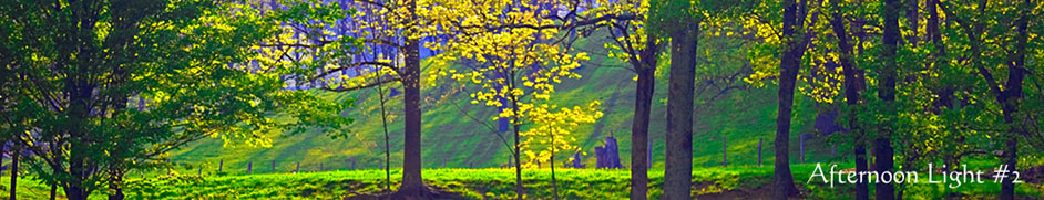 West Virginia Countryside