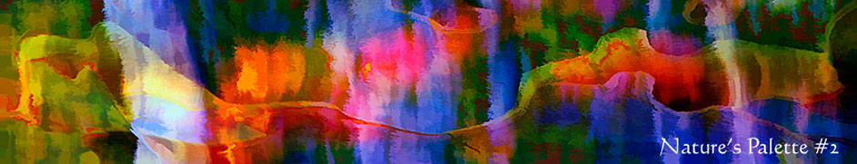 Nature's Palette