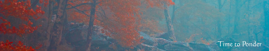 Shenandoah National Forest