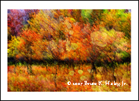 Autumn Grove  (Limited Original 50)