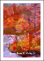 Blackwater Trail  (Limited Original 50)