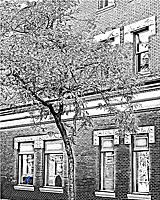 Concrete Jungle (Limited Original 1000)