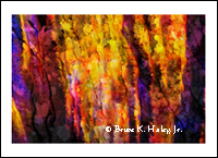 Into The Light #3  (Limited Original 50)